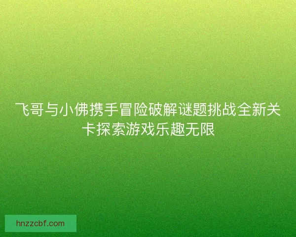 飞哥与小佛携手冒险破解谜题挑战全新关卡探索游戏乐趣无限