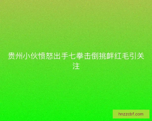 贵州小伙愤怒出手七拳击倒挑衅红毛引关注